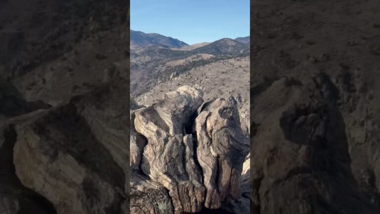 Golden Colorado Lookout Mountain Nature Hike Travel #short #shorts #shortsfeed #colorado #travel