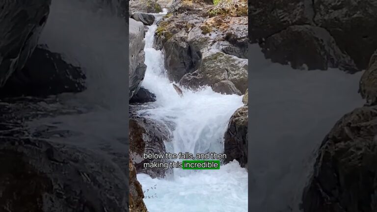 Best Thing To Do in Olympic National Park No. 9 #olympicnationalpark #usnationalparks #bucketlist
