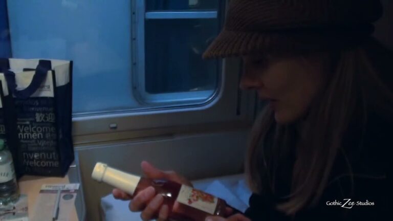Raw Travel: Night Train Sleeping Carriage Venice to Vienna