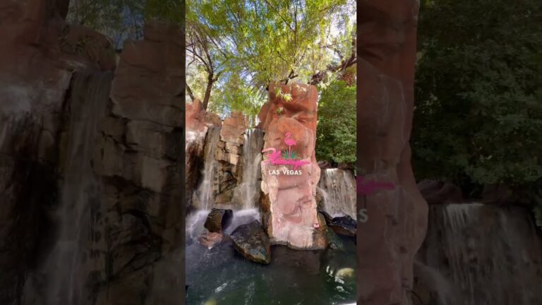 The Flamingo Las Vegas Most Iconic Animal Sanctuary #vegas #travel #vlog